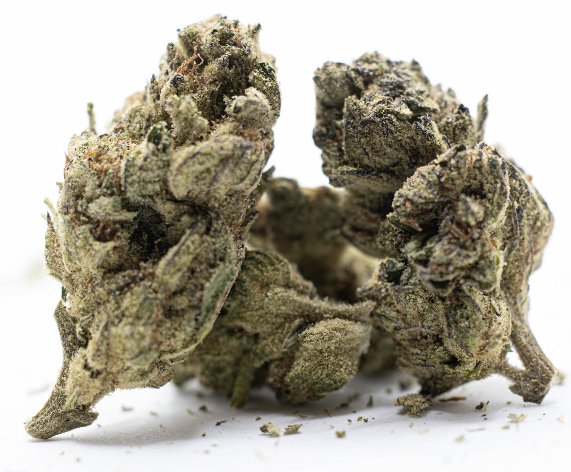 blue dream